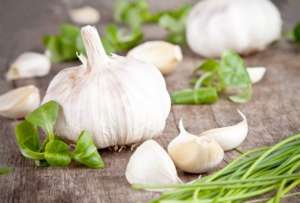 stil-foto-shutterstock-1432321096-665077