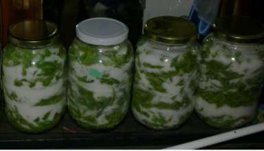 sirup od borovih iglica