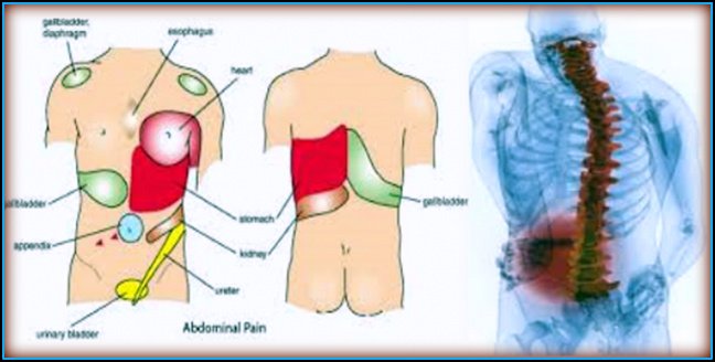 liječenje bolova u zglobovima kist bol u kuku koji zrači u donji dio leđa
