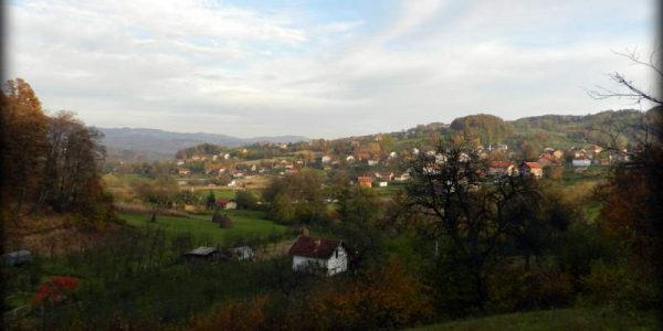 jos-uvijek-postoji-univerzalni-lijek