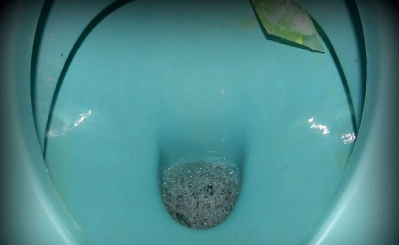 Sirće kao sredstvo za čišćenje sanitarija