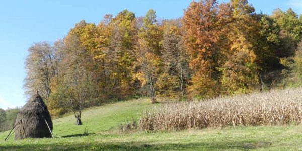 univerzalni-lijek-002