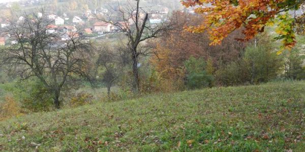 univerzalni-lijek-003