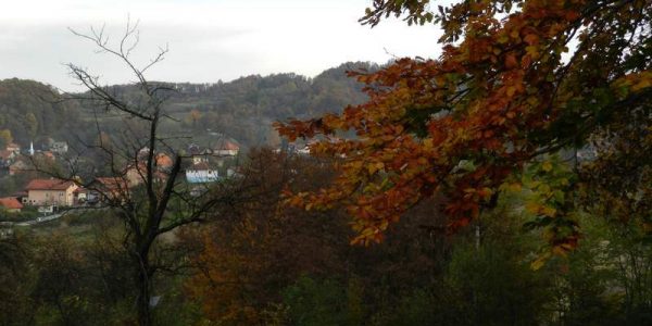 univerzalni-lijek-004