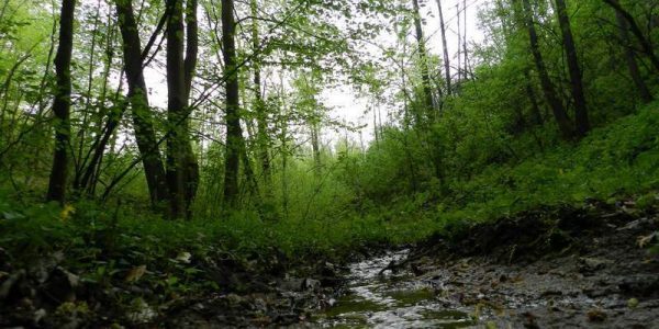 univerzalni-lijek-007