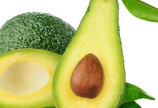 avokado koštica