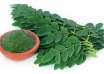 Moringa