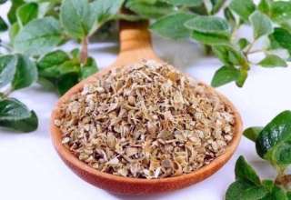 Jedna od naj ljekovitijih biljaka svijeta.