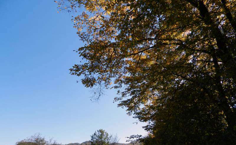 Ublažavanje bolova prirodnim preparatima.